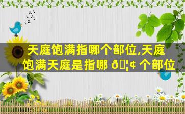 天庭饱满指哪个部位,天庭饱满天庭是指哪 🦢 个部位